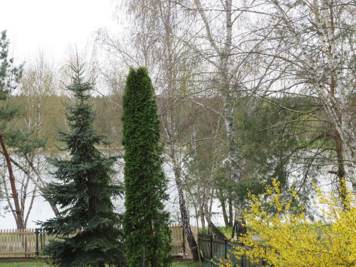 Domek U Jadzi Zwierzyniec Exteriör bild